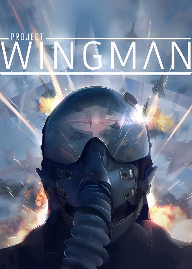 僚机计划/Project Wingman（已更新至V2.0.11+集成Build.12334196升级档+支持VR+游戏修改器）_喵星博客